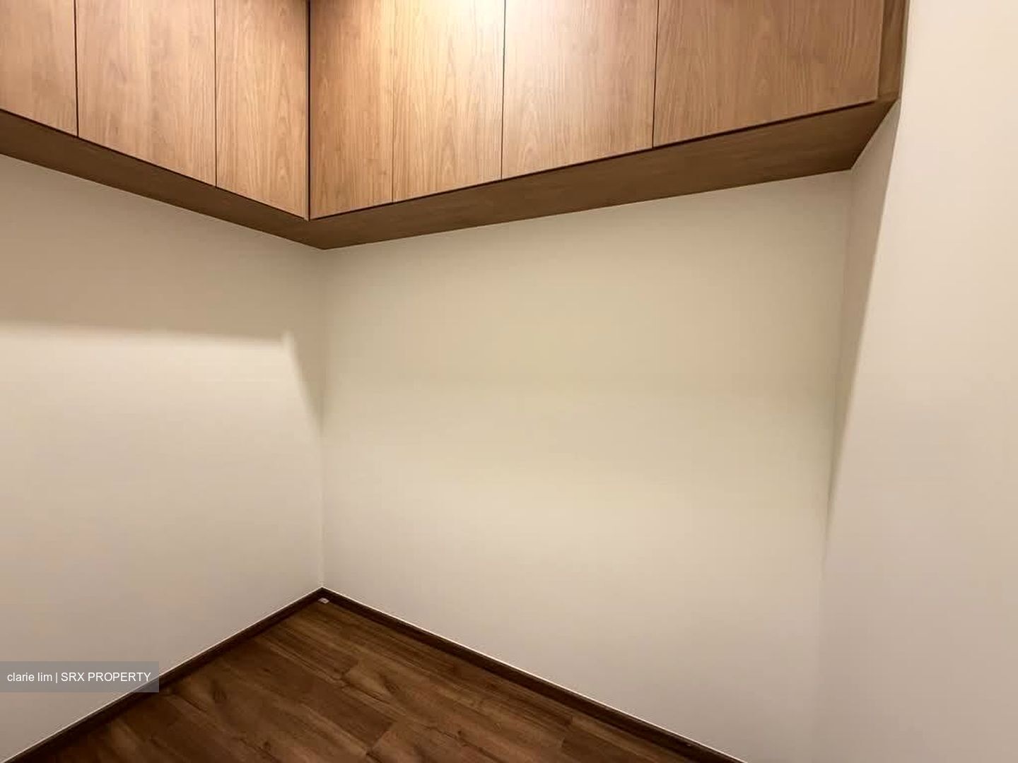 The Whitley Residences (D11), Semi-Detached #541876521